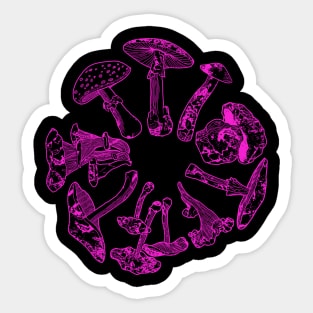 Acidic Mushroom Sticker